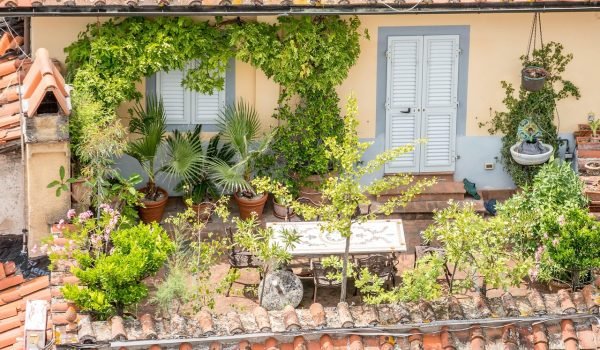 lucca, italy, tuscany, old buildings, trees, garden, terrace, nature, lucca, lucca, lucca, lucca, lucca, tuscany