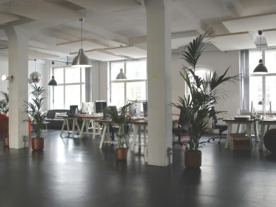 Spacious modern office interior with desks, plants, and natural lighting in Berlin.